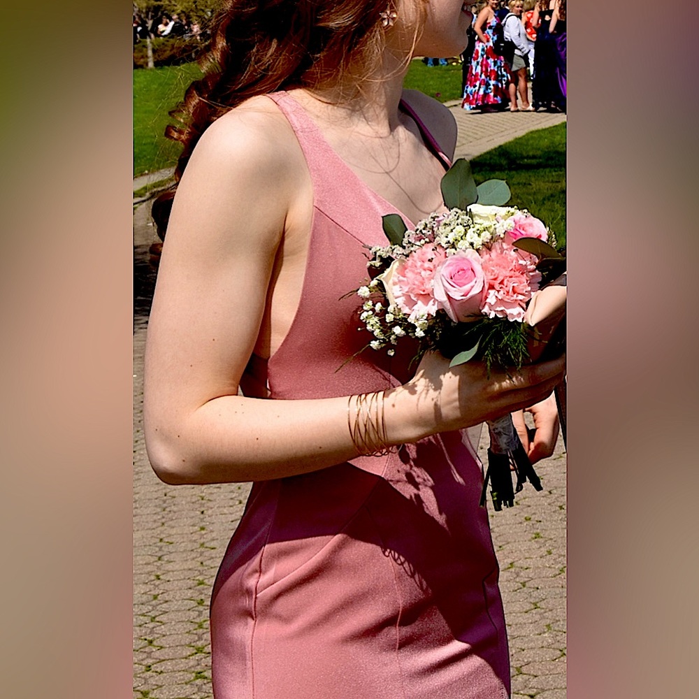 Alyce Paris PROM Dress/Gown